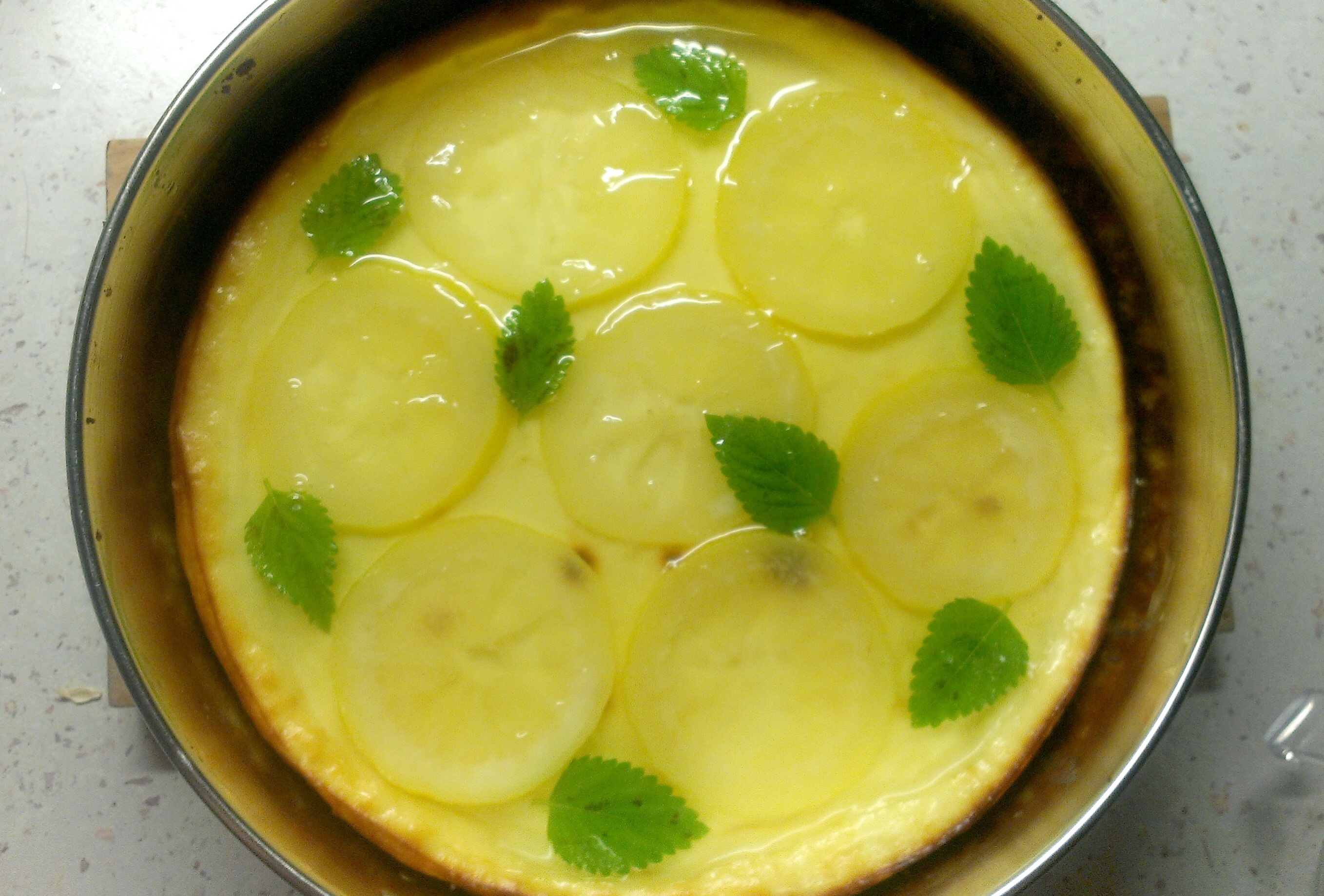Cheesecake s citronovým želé